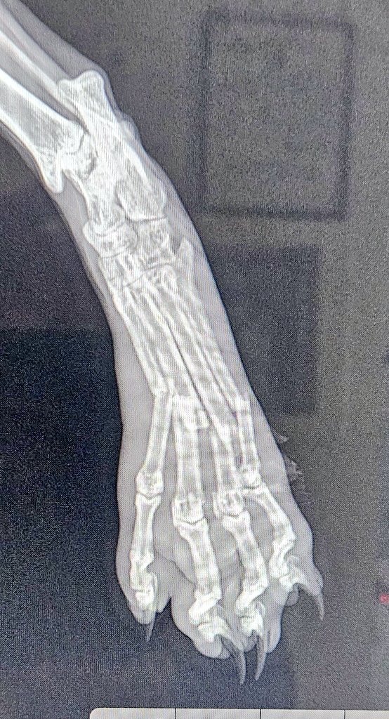 EdFatherOfCats tweet media