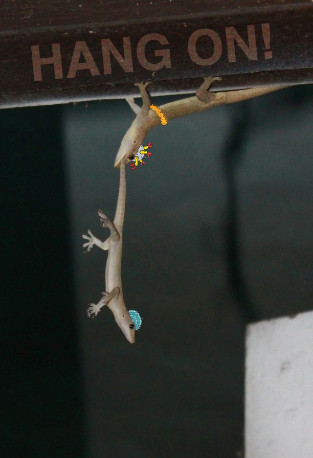 🟩 Genuine Articles // GG 🦎 tweet media