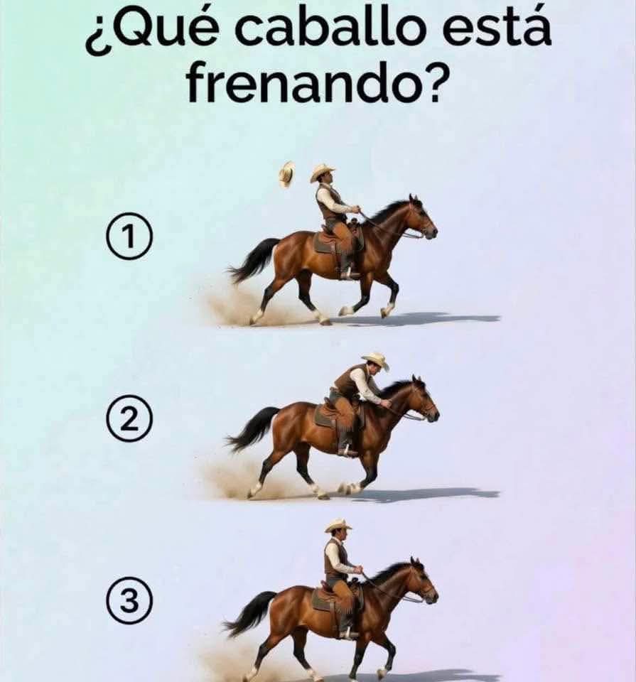 Debbie25💜🇦🇷 tweet media