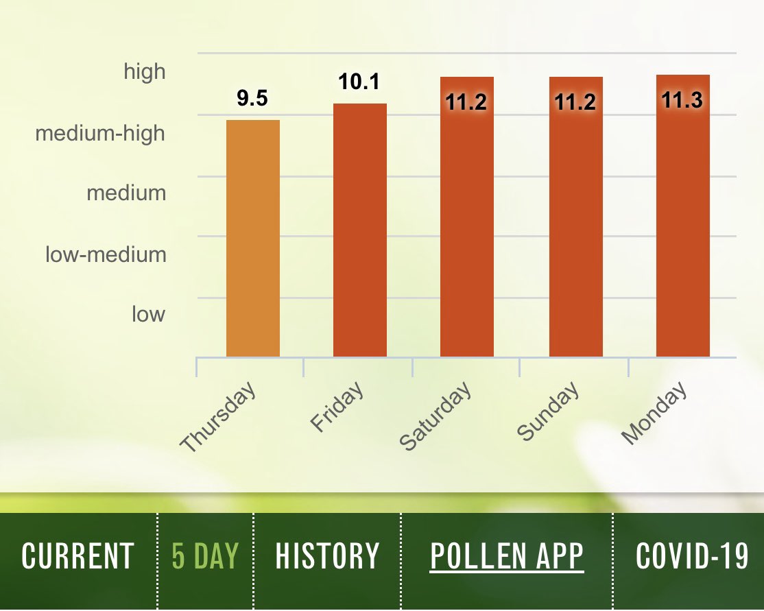 MemphoNewsLady's tweet image. BRU-TAL allergies this year. Anyone else?

And #Memphis doesn’t rank in the top 20 cities with the worst pollen allergies this year. HOW is that even possible?!?
aafa.org/asthma-allergy…