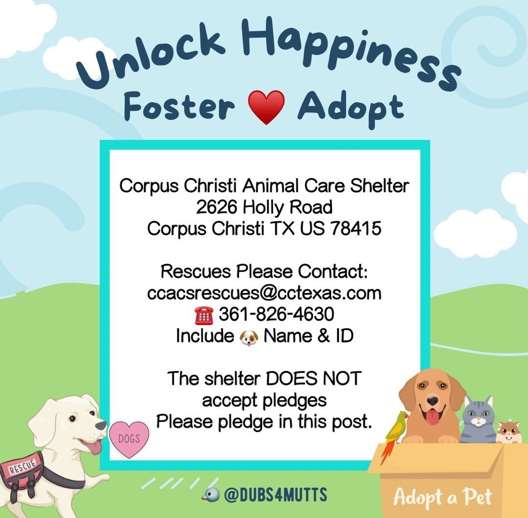 Jade 💔🐾🐾🐕 tweet media