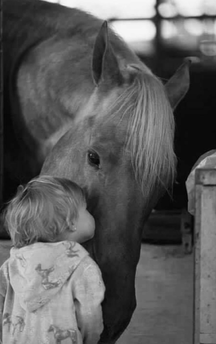 @Maria_Kessler14 tweet media