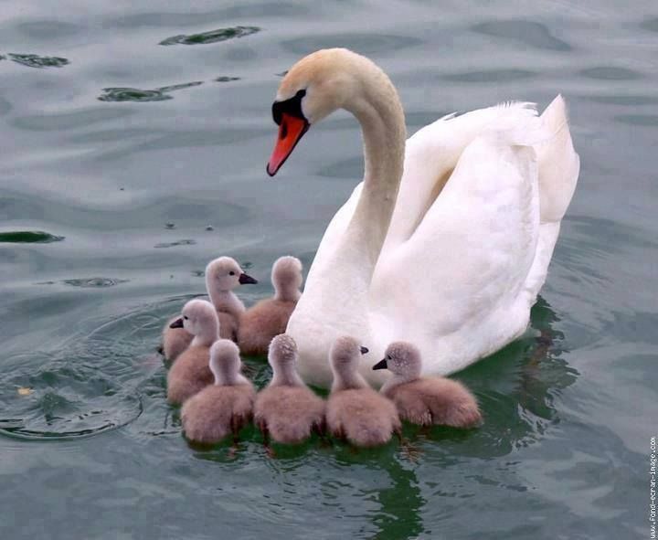 @Maria_Kessler14 tweet media