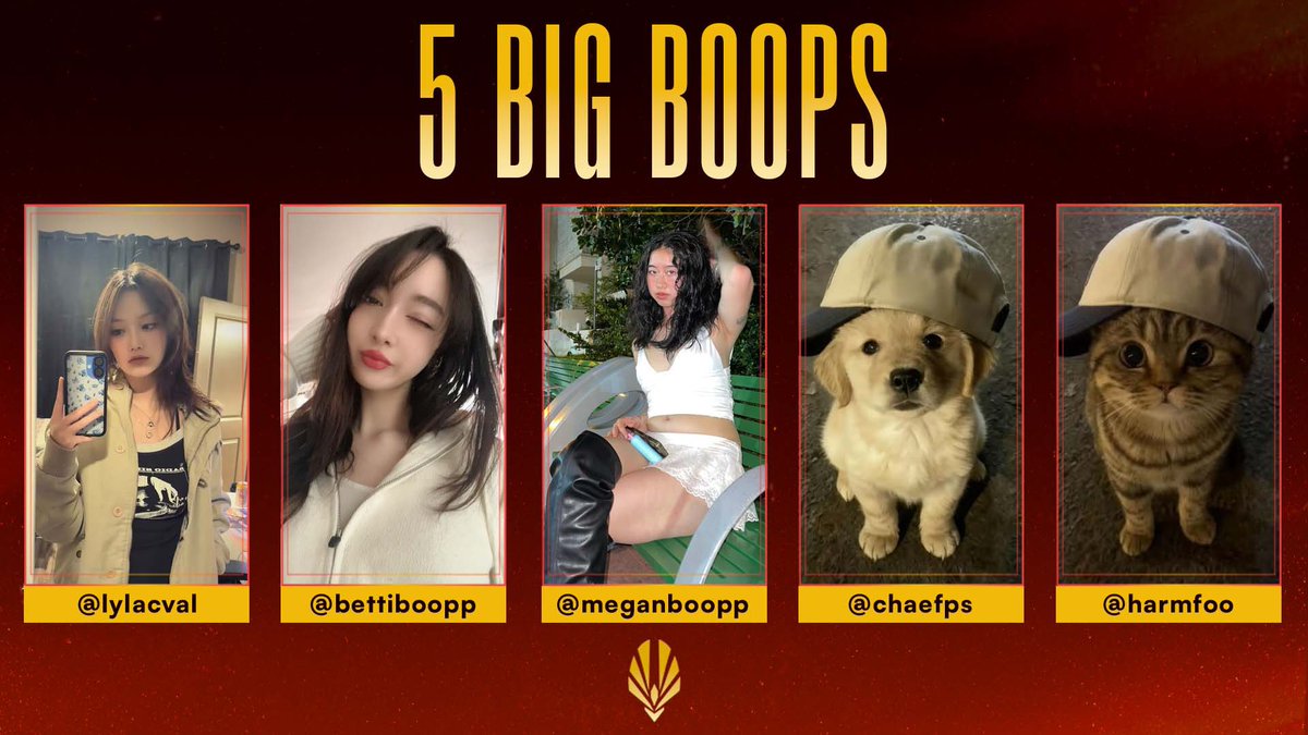 creator cup series tweet media