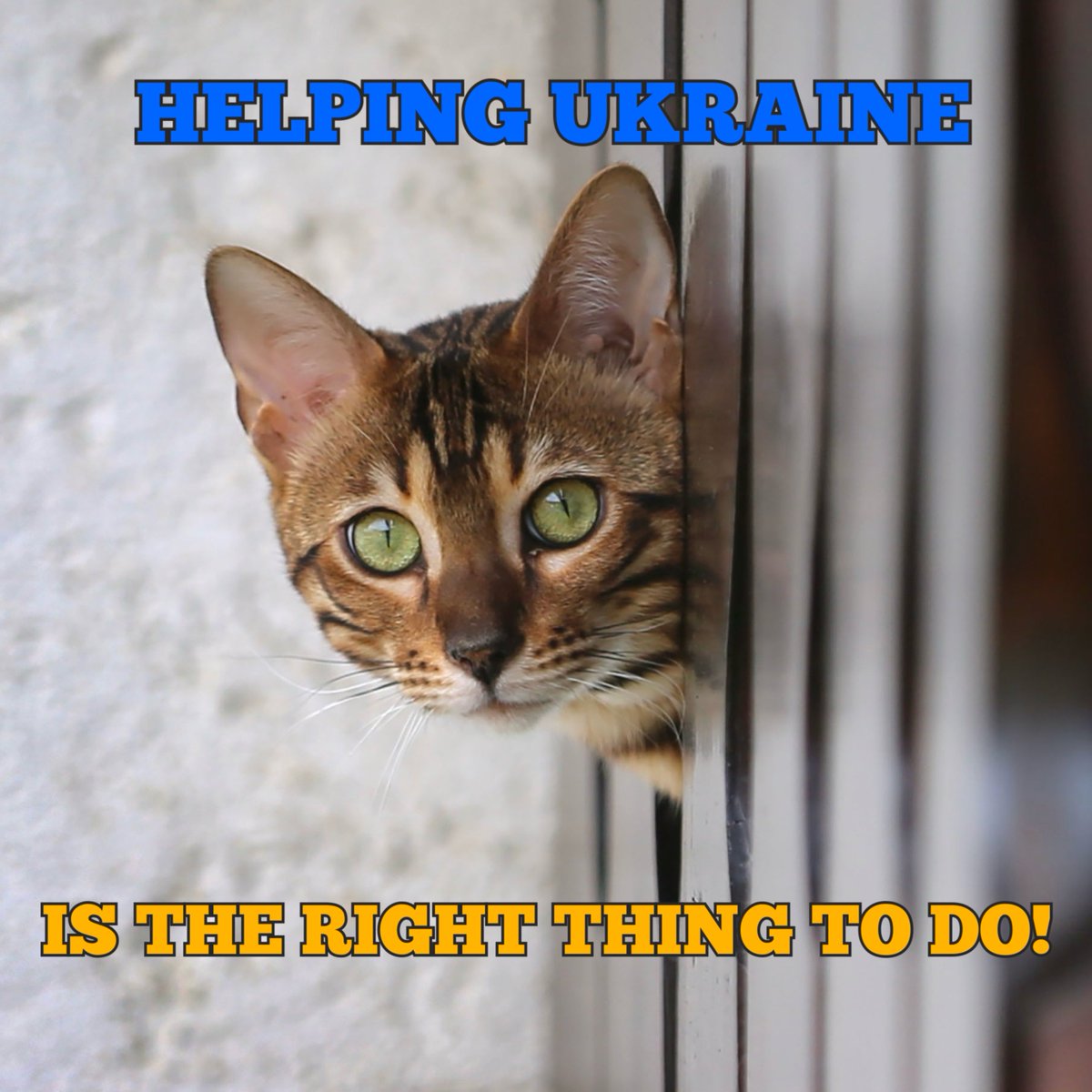 G Clarke 🇺🇦💙💛 tweet media