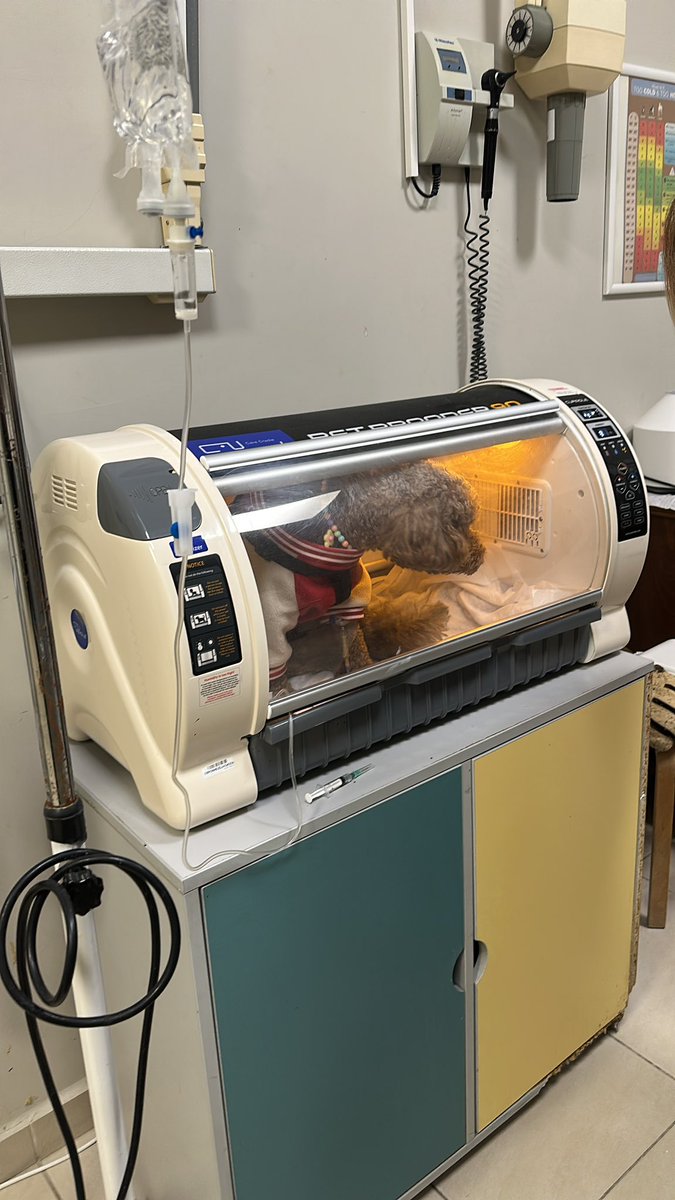 OZANNN🏹🏹💛💙 tweet media