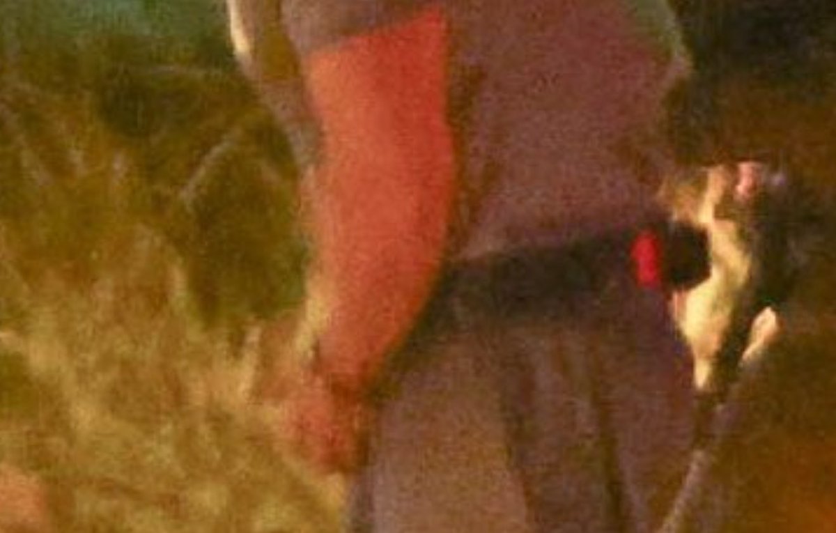 Sam Pancher tweet media