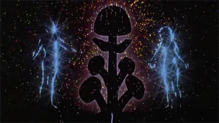 Mal dos Trópikos🦉 tweet media