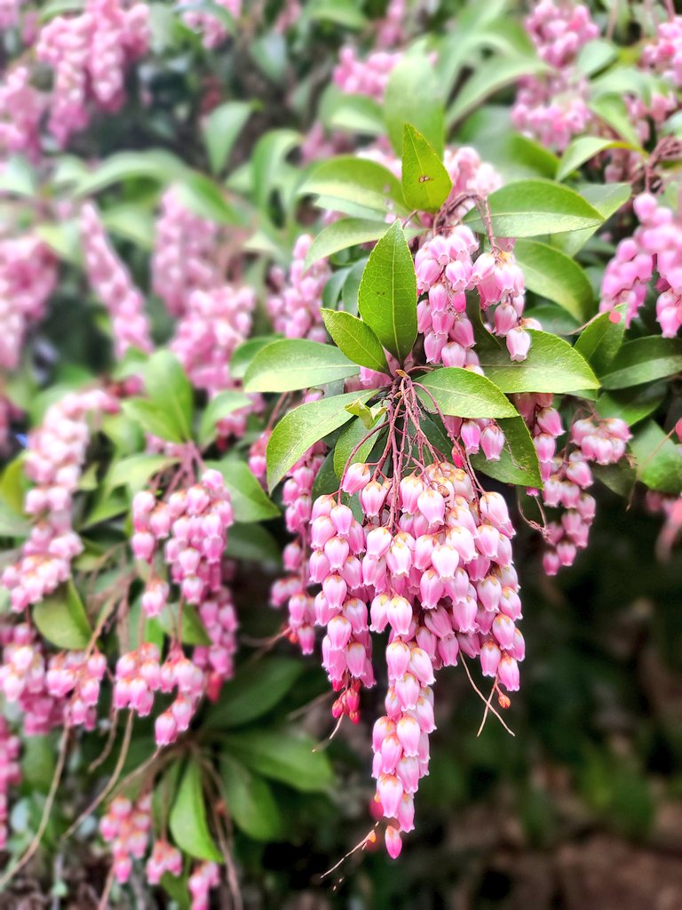 青井千寿🧀↑↑↓↓←→←→ tweet media