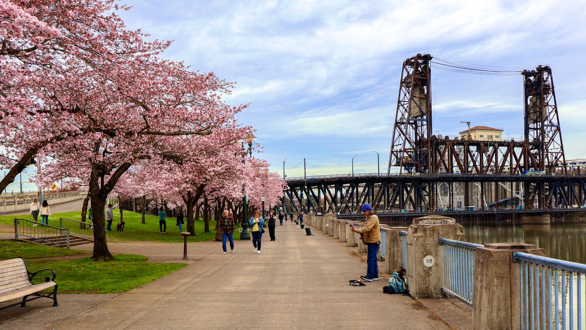 Tom Wagmi tweet media