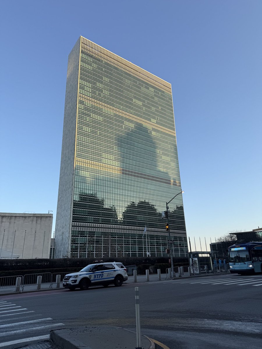 Dr Tlaleng Mofokeng tweet media