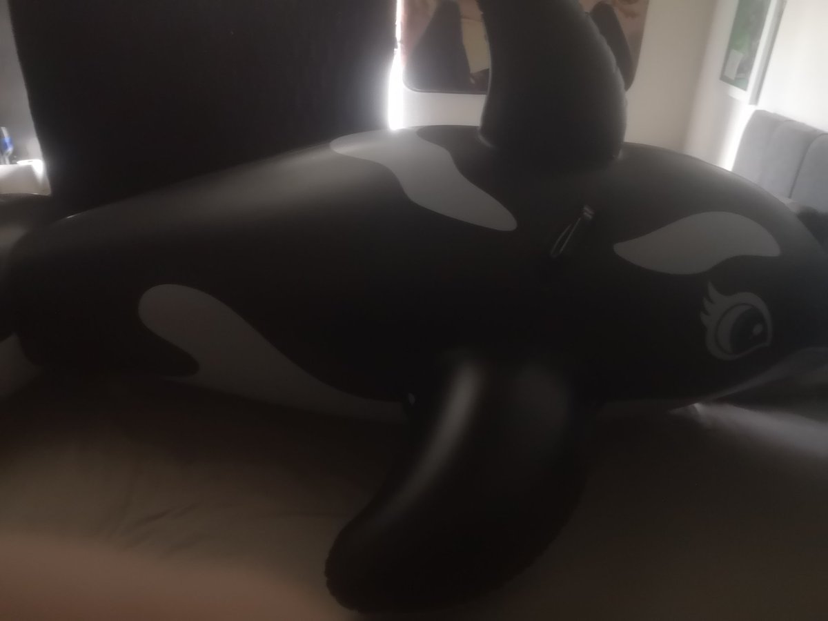Orca fox DRAGON 18+ tweet media