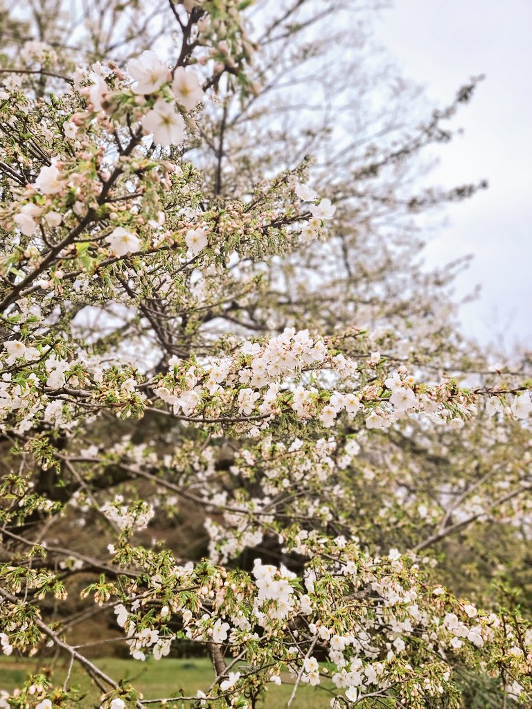 青井千寿🧀↑↑↓↓←→←→ tweet media