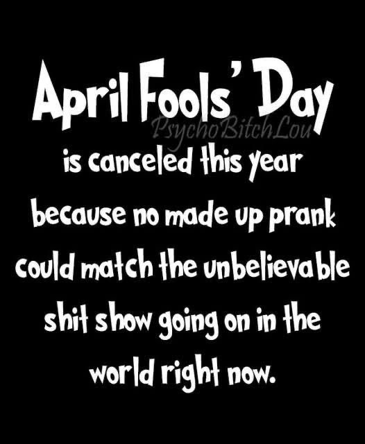 BIGDADDY tweet media