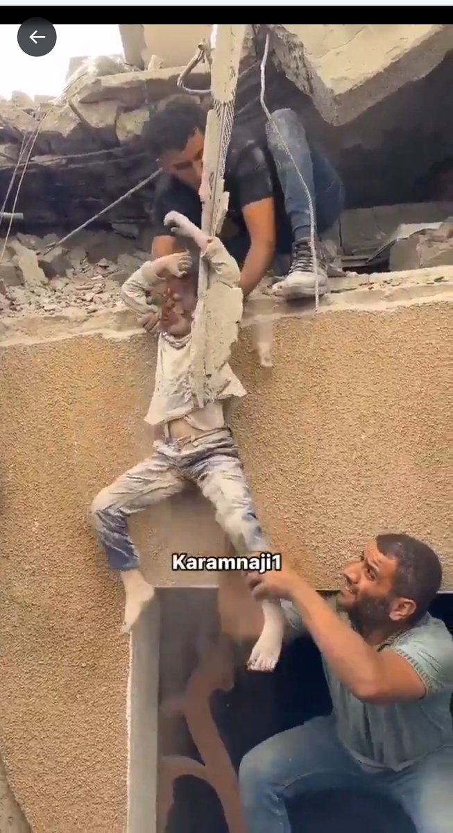 Skyeburd tweet media