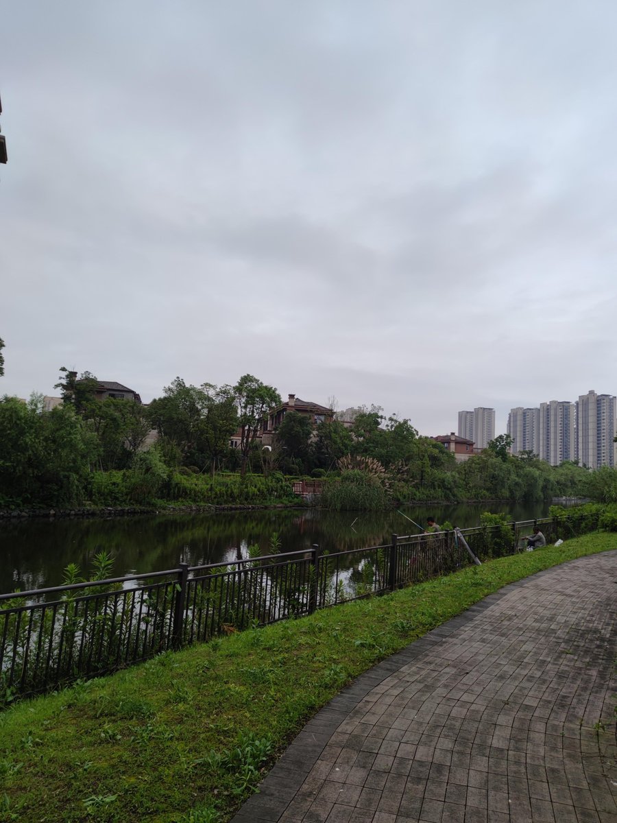 Batya Ruso tweet media