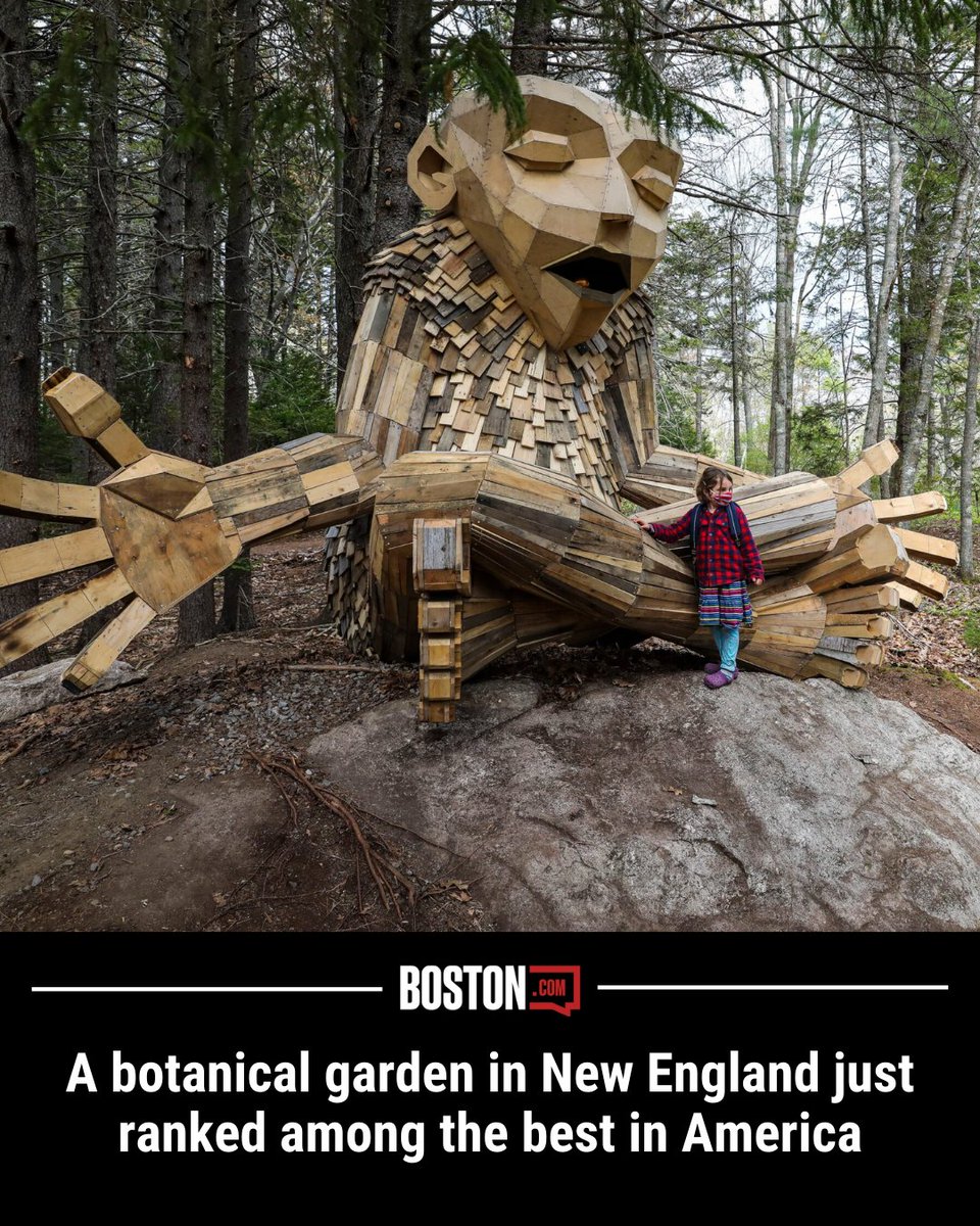 Boston.com tweet media