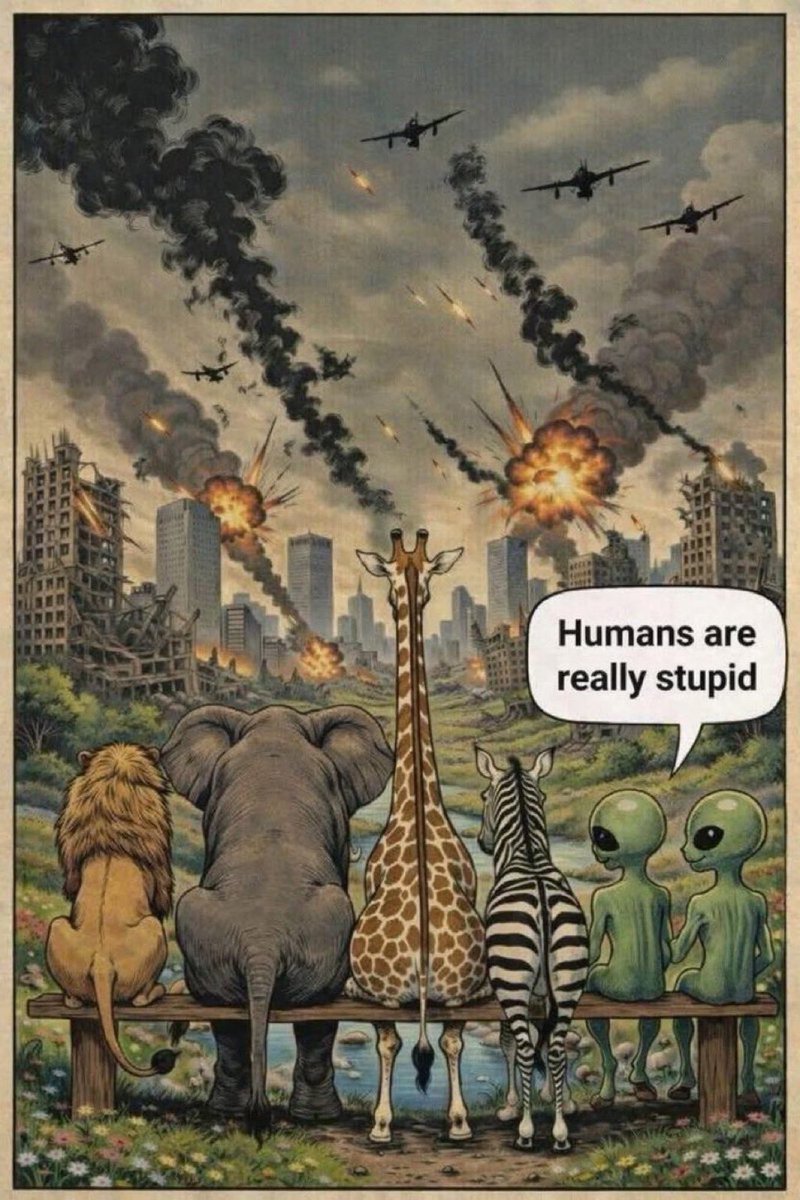 Miguel Díaz tweet media