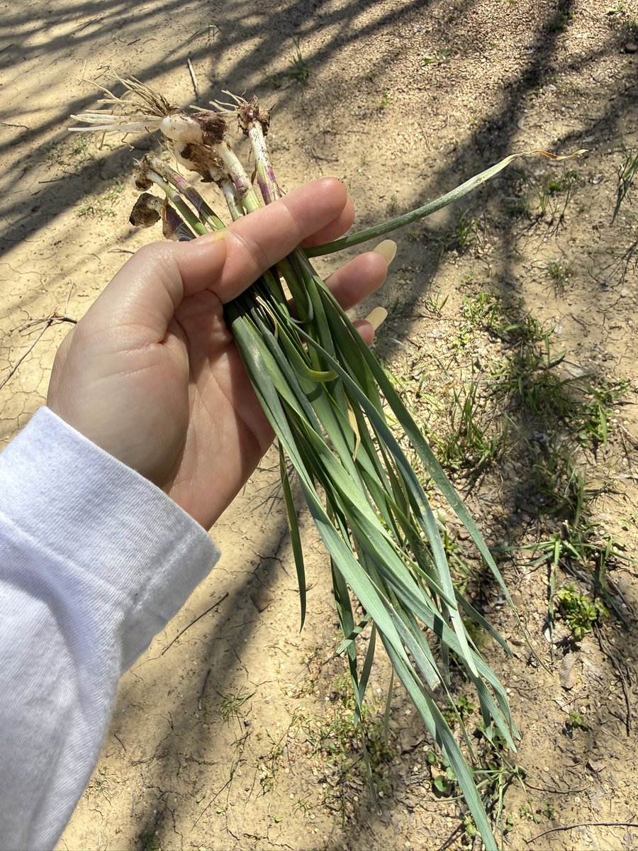 Lucia🍊🍊🇺🇸🇺🇸榜一姐 tweet media