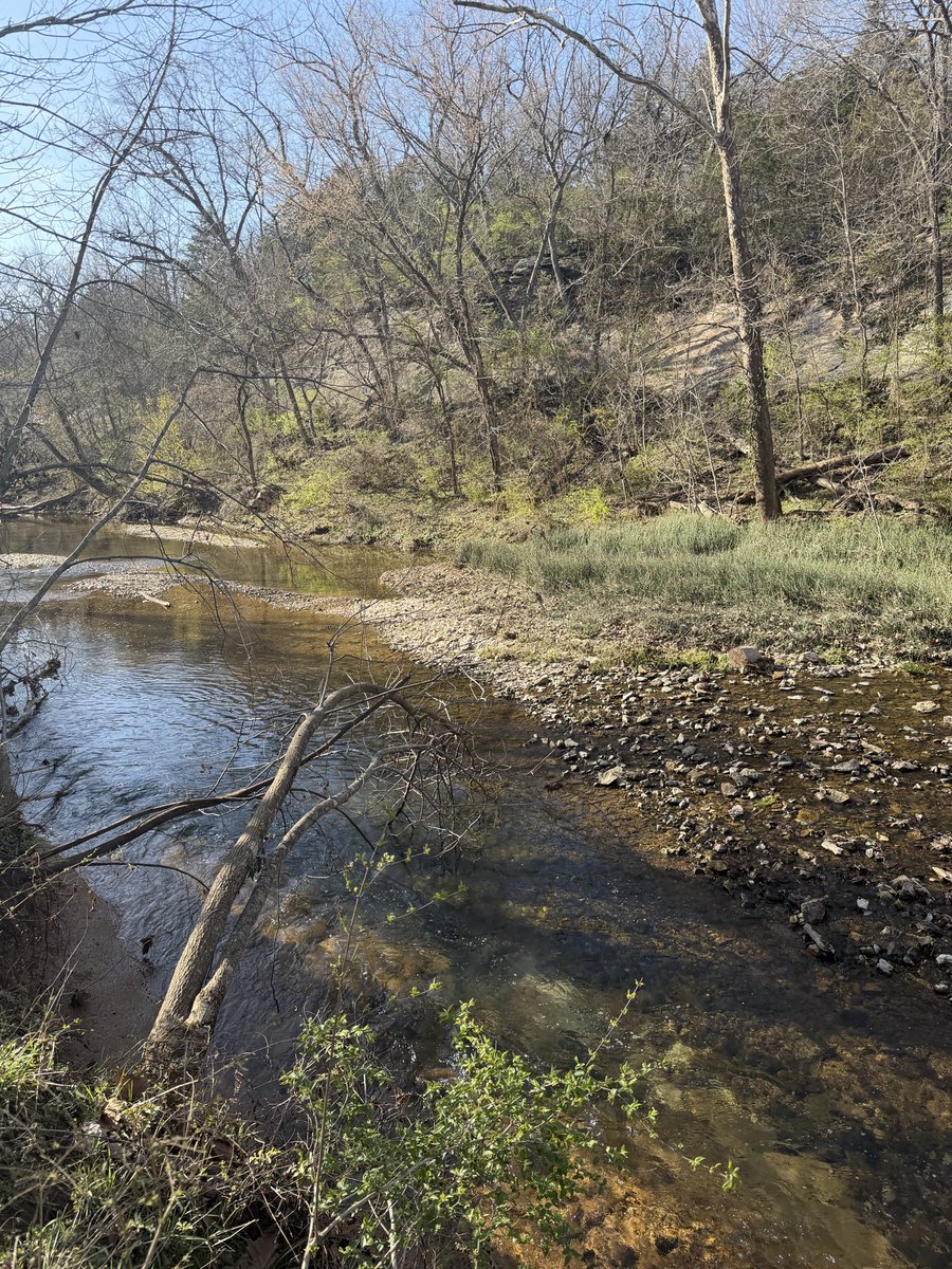 Dreamweaver tweet media