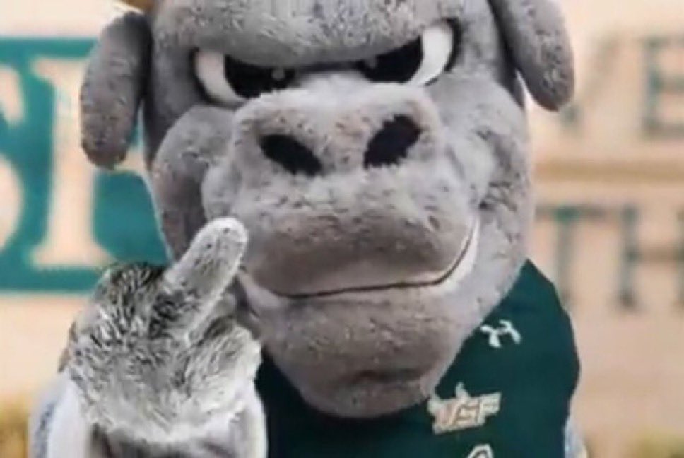 MStephen tweet media