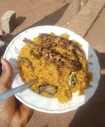 Schwarzenegger tweet media