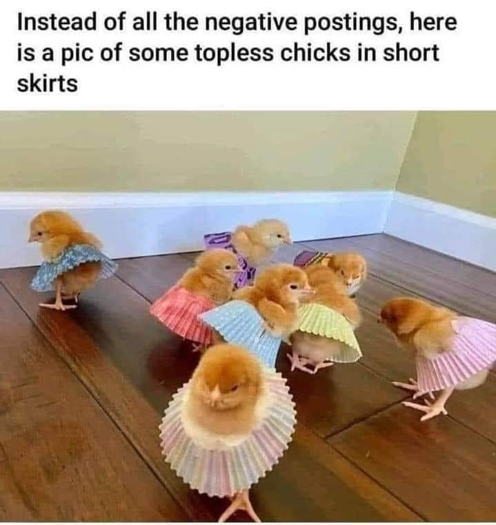 G00NB0TCHEF tweet media