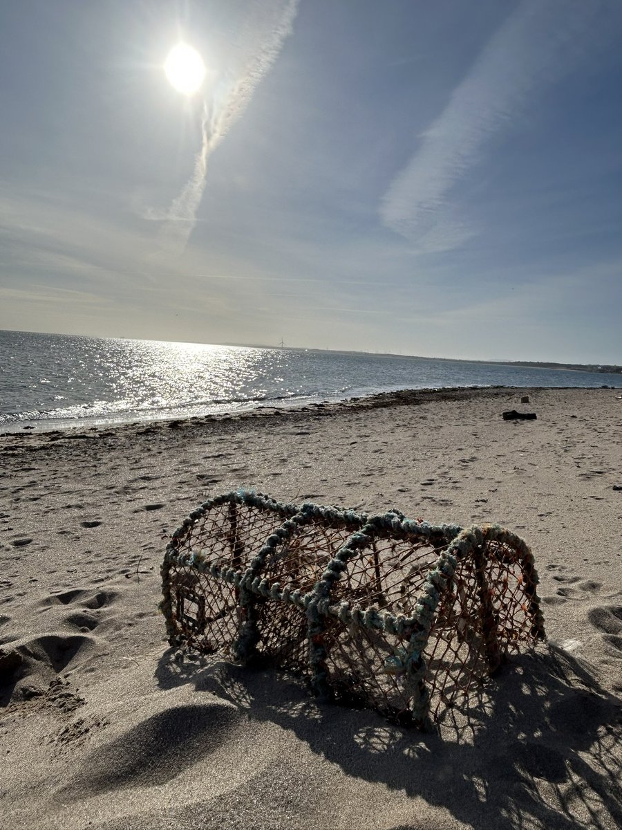 Michael Alexander tweet media