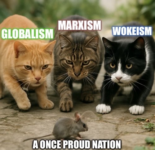 GnosisWolf tweet media