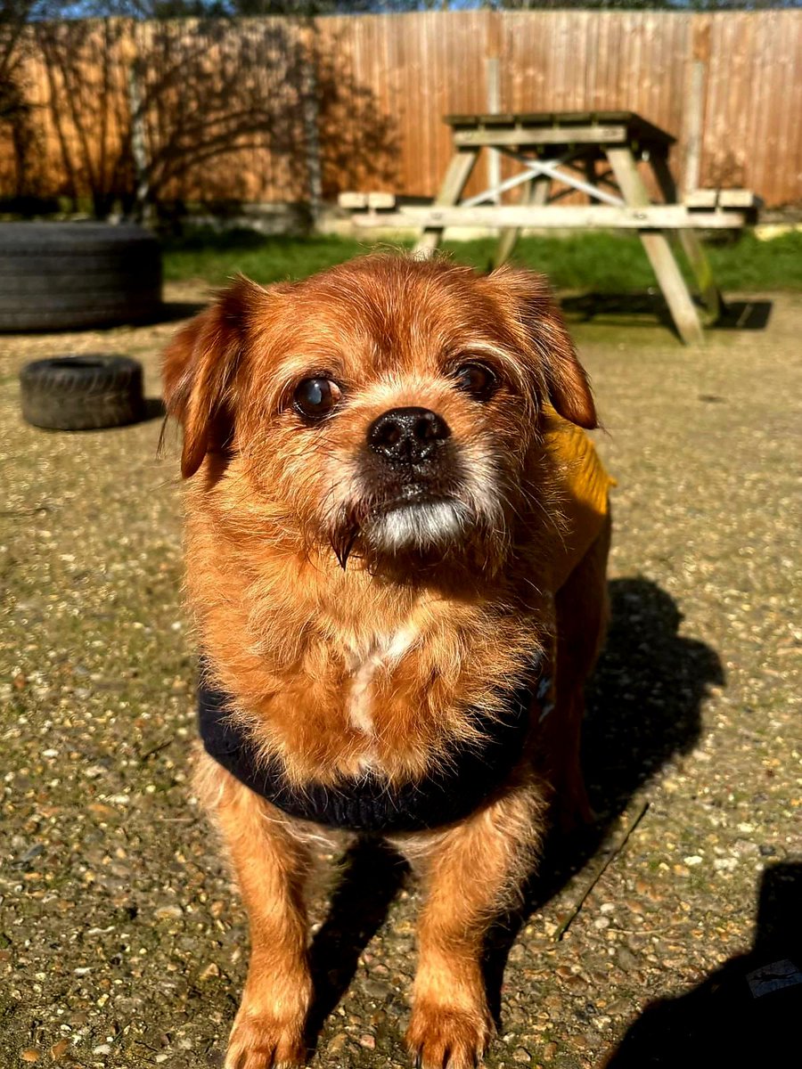 Donny Barko tweet media