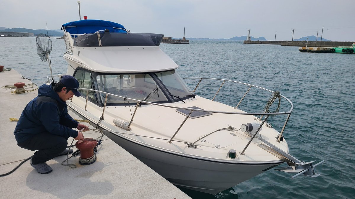 釣りスギ四平 tweet media