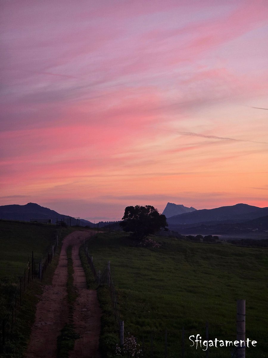 Sfigatamente  tweet media