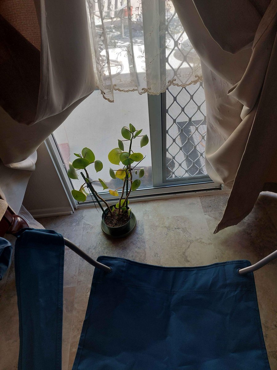 Janet | ghiblimagic on 🦋 tweet media