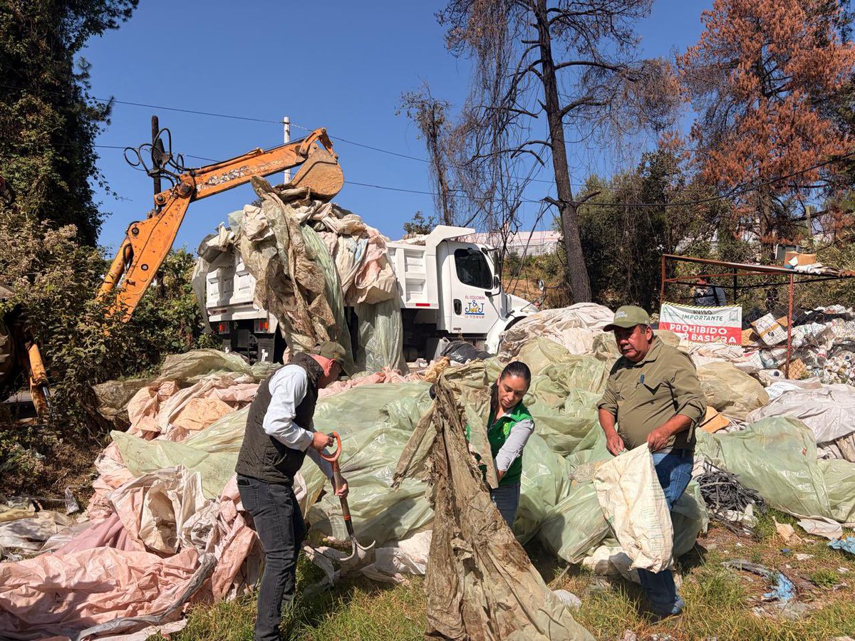 alhely_arronis's tweet photo. A través de nuestra Dirección de Protección y Restauración del #MedioAmbiente y en coordinación con el ayuntamiento de #VillaGuerrero realizamos un #JornadaDeLimpieza, donde junto a vecinas y vecinos logramos recolectar:

🍃7 toneladas de residuos sólidos urbanos.
🍃3,000 envases de agroquímicos.
🍃38 metros cúbicos de plástico de invernadero.
🍃8 neumáticos en desuso.

#ElPoderDeServir