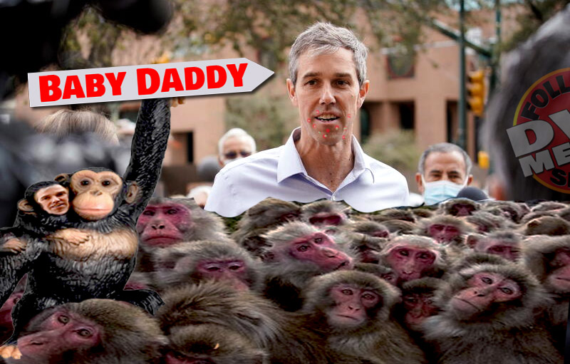 DVZ MΞMΞS tweet media