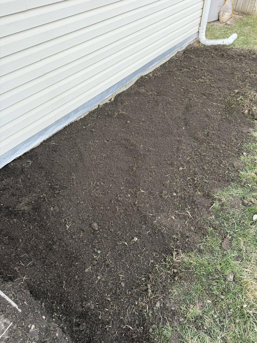 Traditional Thoughts tweet media