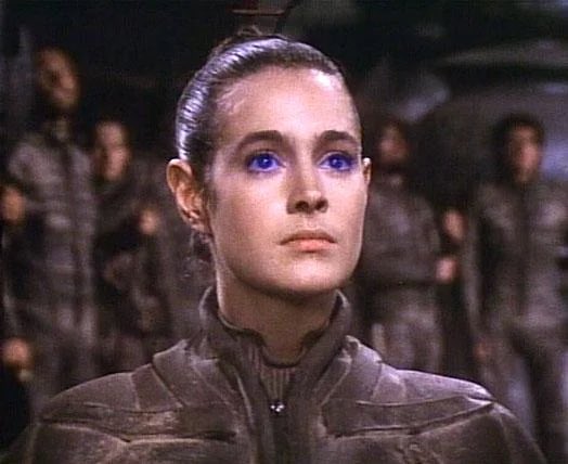 🇺🇸 Critical Based Theorist 🇨🇦 tweet media