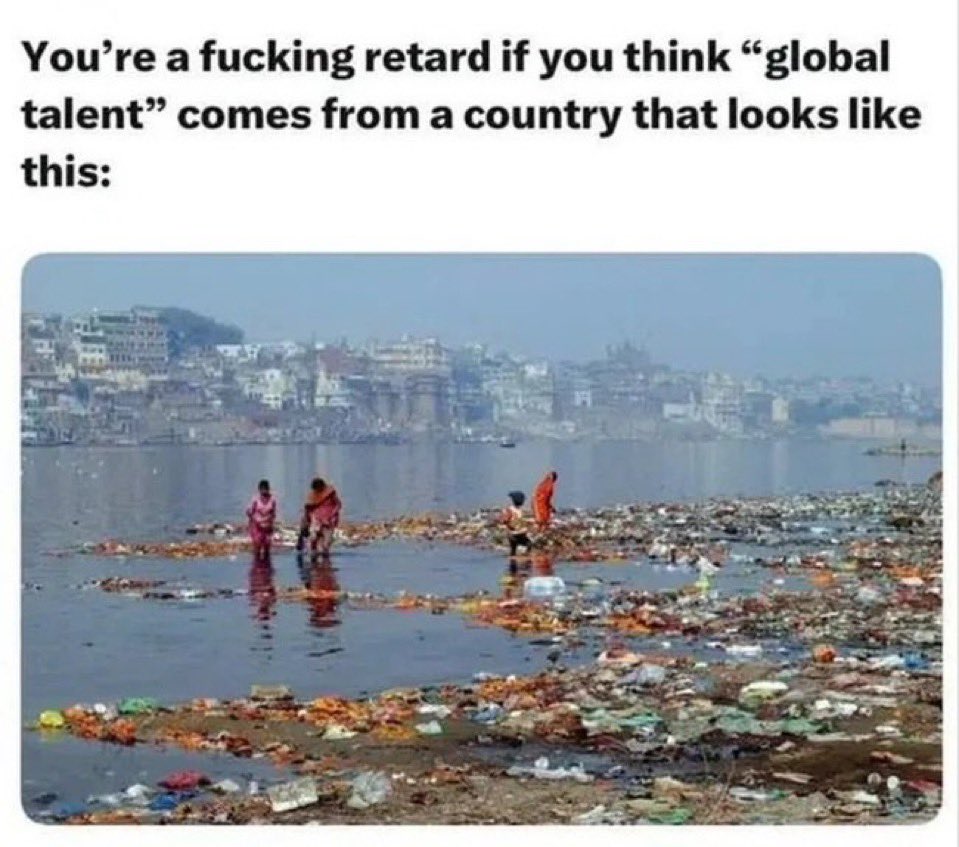 Gus Naylor tweet media