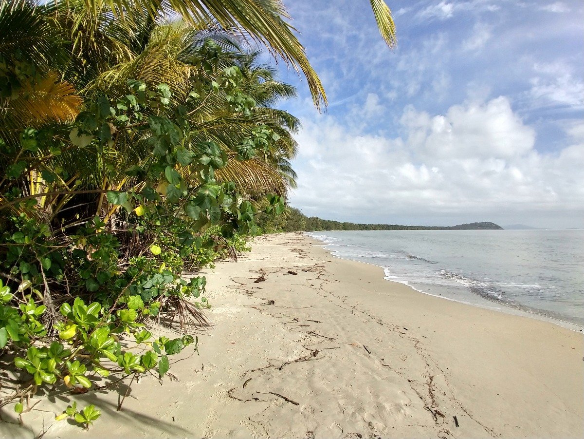 John Walton tweet media