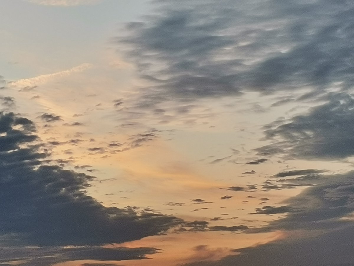 Bertrand_new tweet media