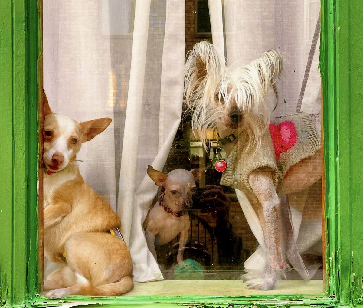 Sean Duffy tweet media