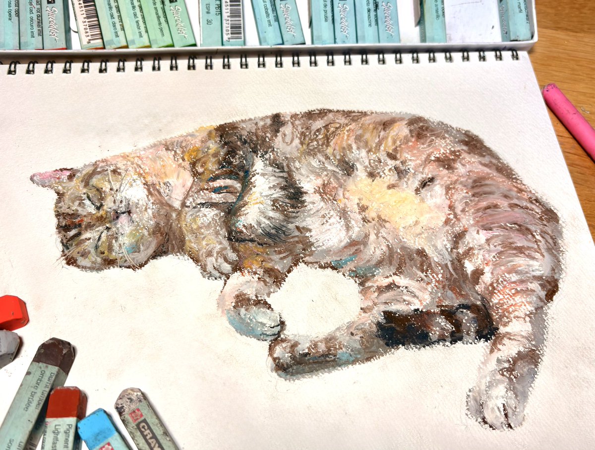 ほしの tweet media