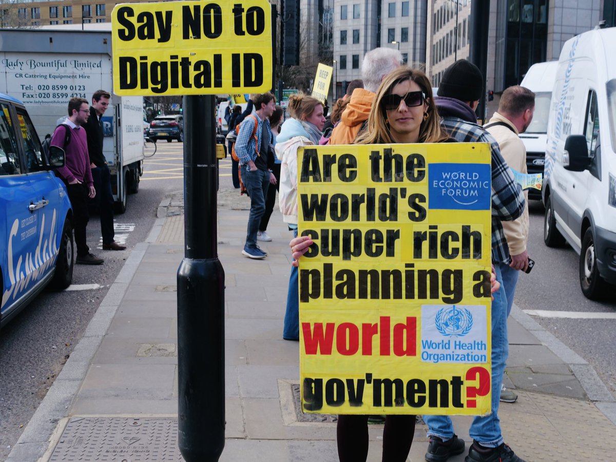 yellow_boards tweet media