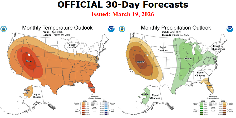 Rich Nelson tweet media