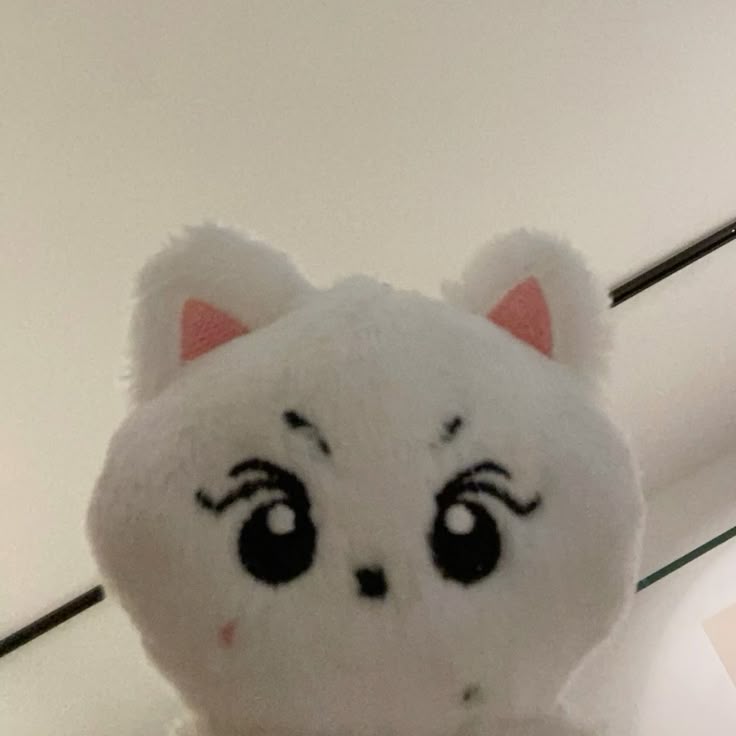 ENHYPEN IS 7 tweet media