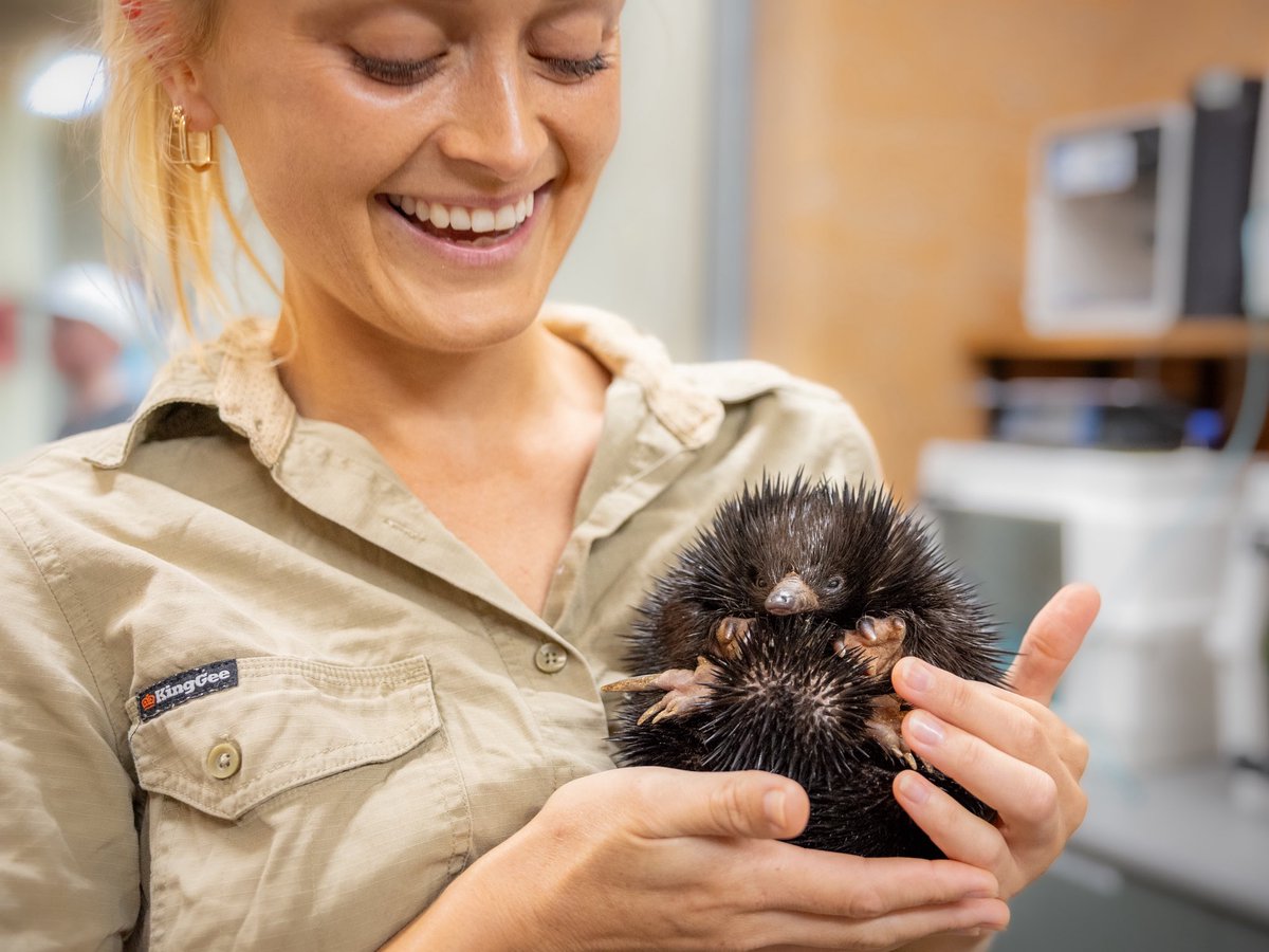 Wildlife Warriors tweet media