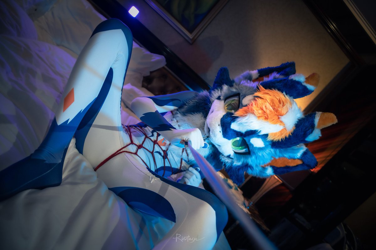 sanzai33's tweet photo. #FursuitFriday
“心脏是一座有两间卧室的房子，一间住着痛苦，另一间住着欢乐。”
摄影师📷:@Rintasu_s https://t.co/Tta56355q1
