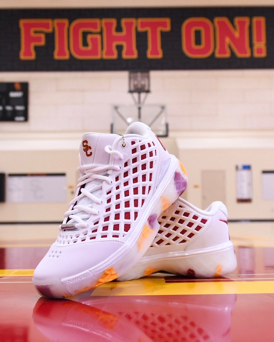 Sole Retriever tweet media