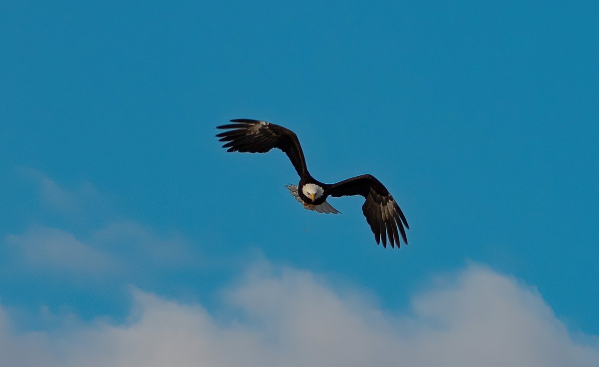 The Only James Magelk tweet media