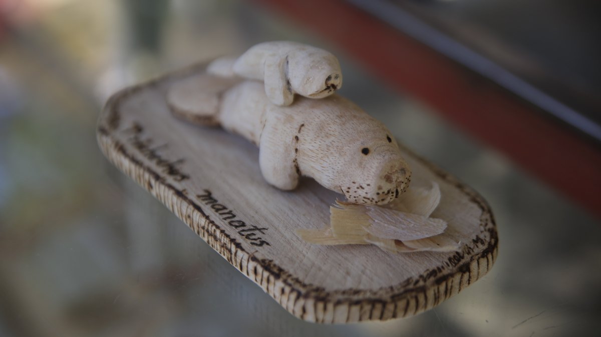 Construyendo Región tweet media